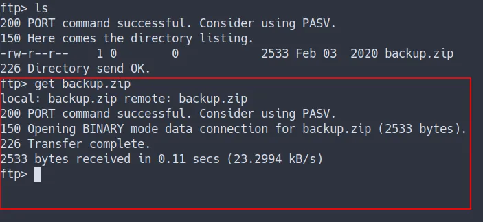 download the zipfile