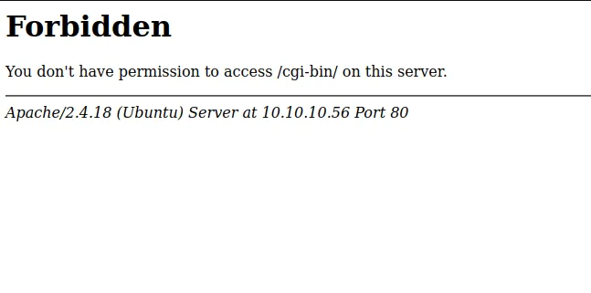 forbidden /cgi-bin/