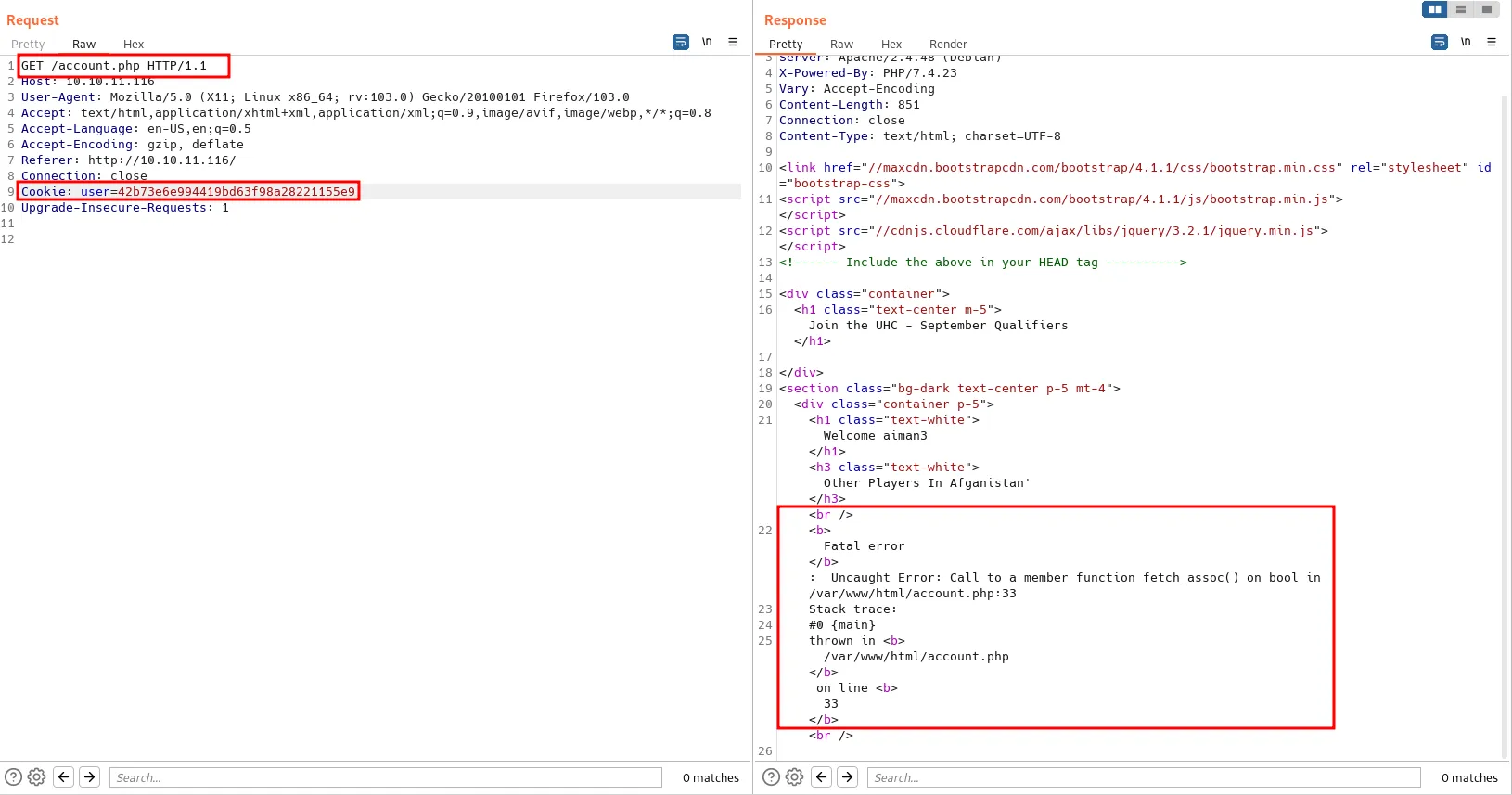 error indicate sql injection