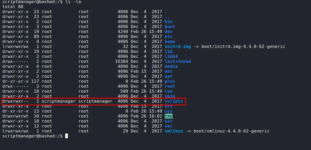 found /scripts directory