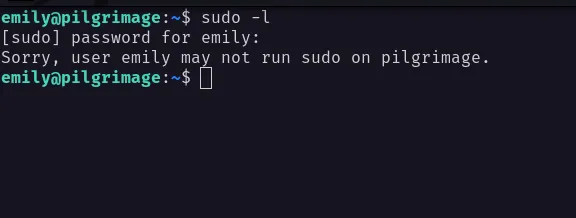 check sudo permission