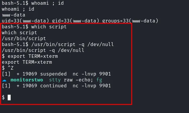 upgrade tty using script